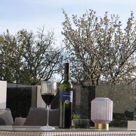 Villa Luxury With Swimming Pool A&n Ruzic